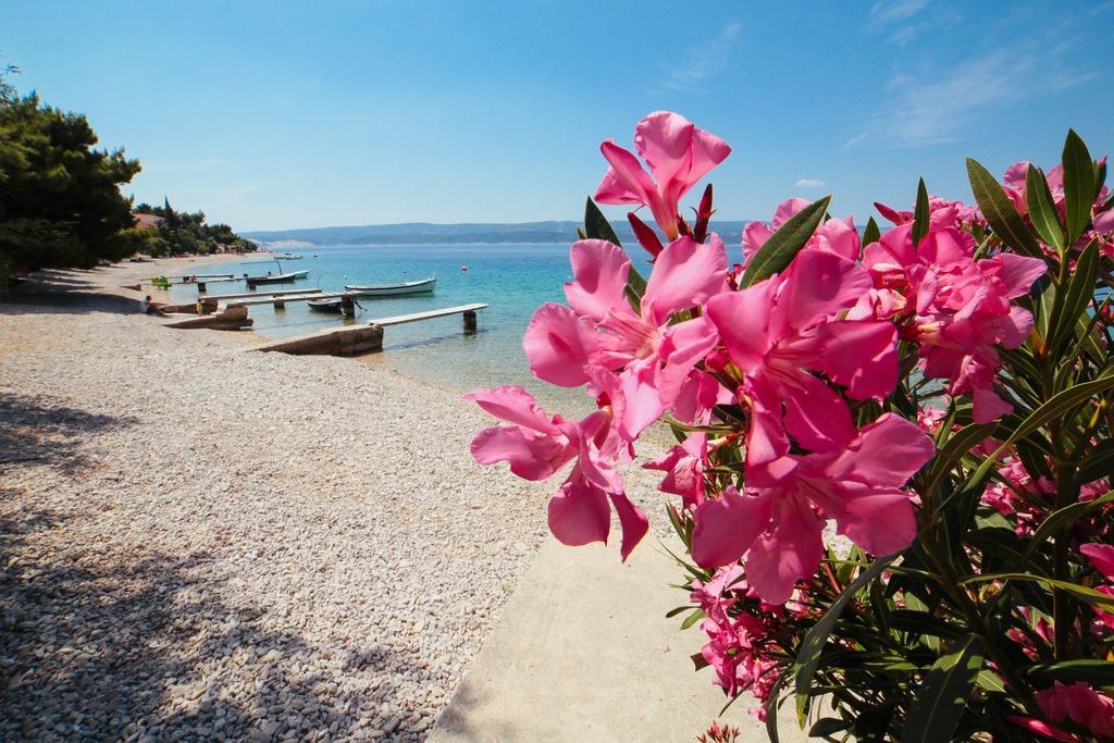 Apartments Dada Omiš Dış mekan fotoğraf
